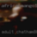 Adult Chatham