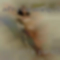 Caliente paradise swingers