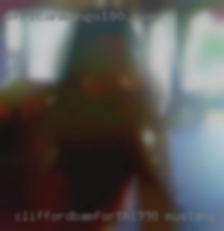 cliffordbamforth1998 Mustang