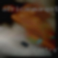 Cougars castrating