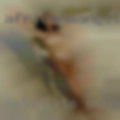 Naturists swingers fucking