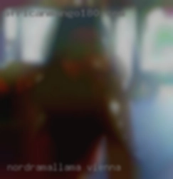 Nordramallama Vienna