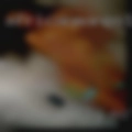Phone daily motion