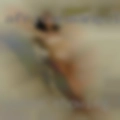 Women showing there pussy